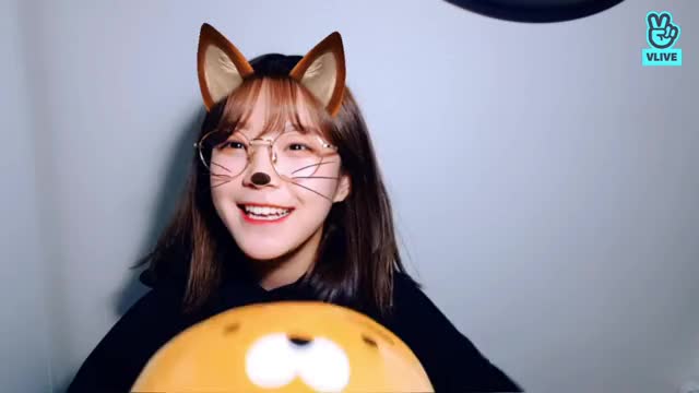 Kitten Jiheon says hi