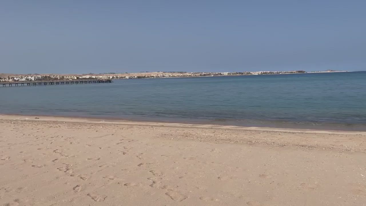 Beach Pussy Sex gif