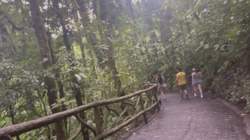 Nature flash in Costa Rica 🇨🇷