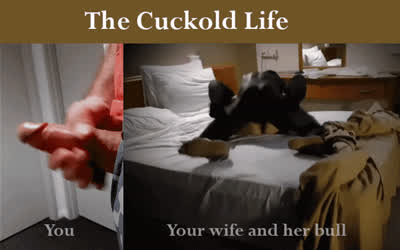 Cuckold gif