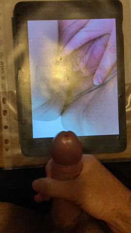 cock cumshot tribute gif