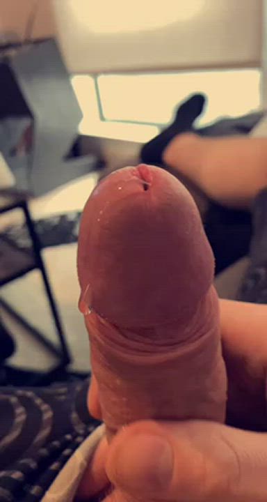 Cock Worship Cum Precum gif