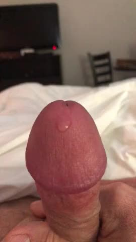 Precum Porn GIF | RedGIFs