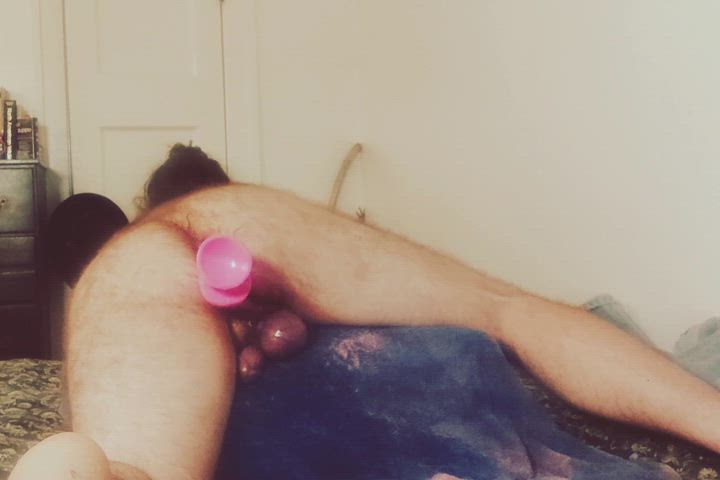 bear dildo hairy gif