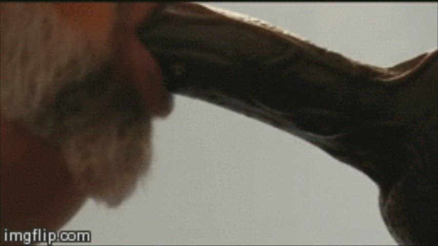 Cock Worship Dildo Huge Dildo gif