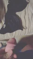 Bra Cum Cumshot Edging Male Masturbation Masturbating Solo gif