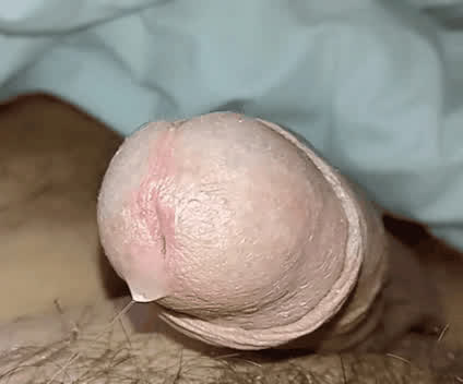 amateur cock solo gif