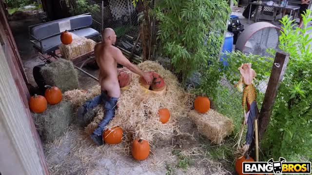 Pumpkin Booty Patch