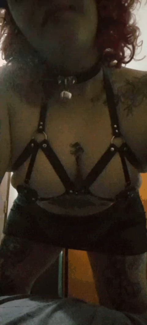 boobs chubby cute harness kinky kitty lingerie petplay tattoo tits gif