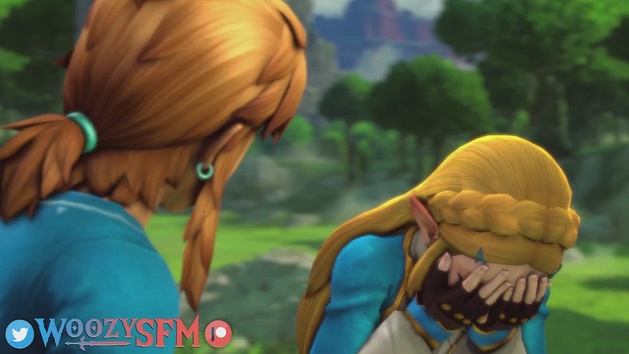Zelda asks Link a question, (WoozySFM) [The Legend of Zelda]