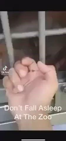 caught handjob licking gif