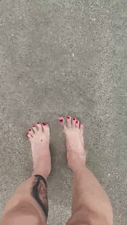Feet Feet Fetish Femdom gif