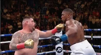 ANDY RUIZ 019 XDEIOS