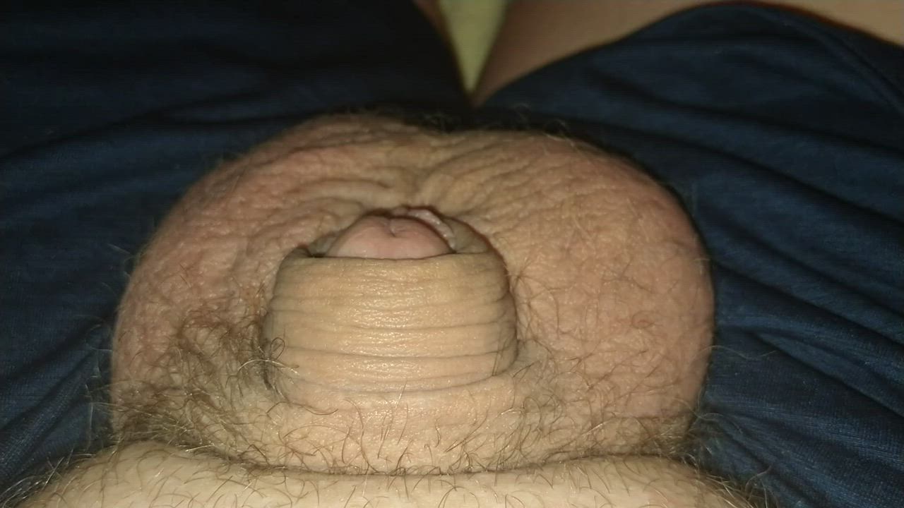 Humiliation Penis Tiny Porn GIF by fisterfanman