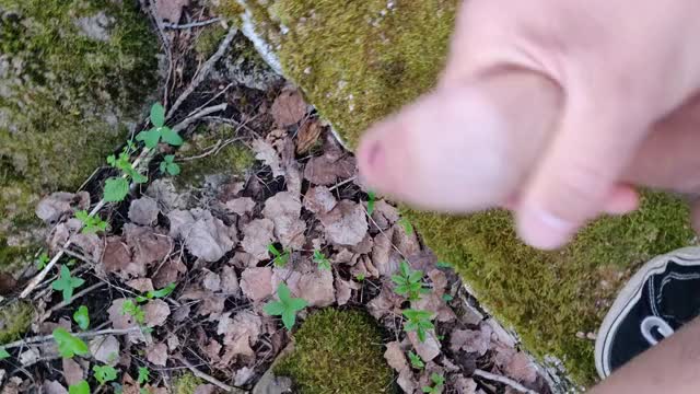 Solo session in the woods