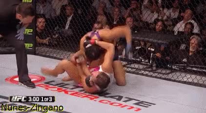 wild dynamic gnp, legdragging zingano