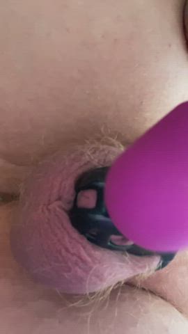 Chastity Cumshot Vibrator gif