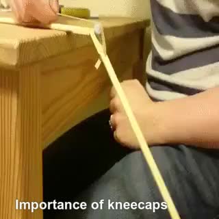 importance of kneecaps