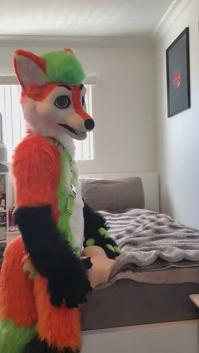 Help me Daddy! Furry Wolf Masturbating.