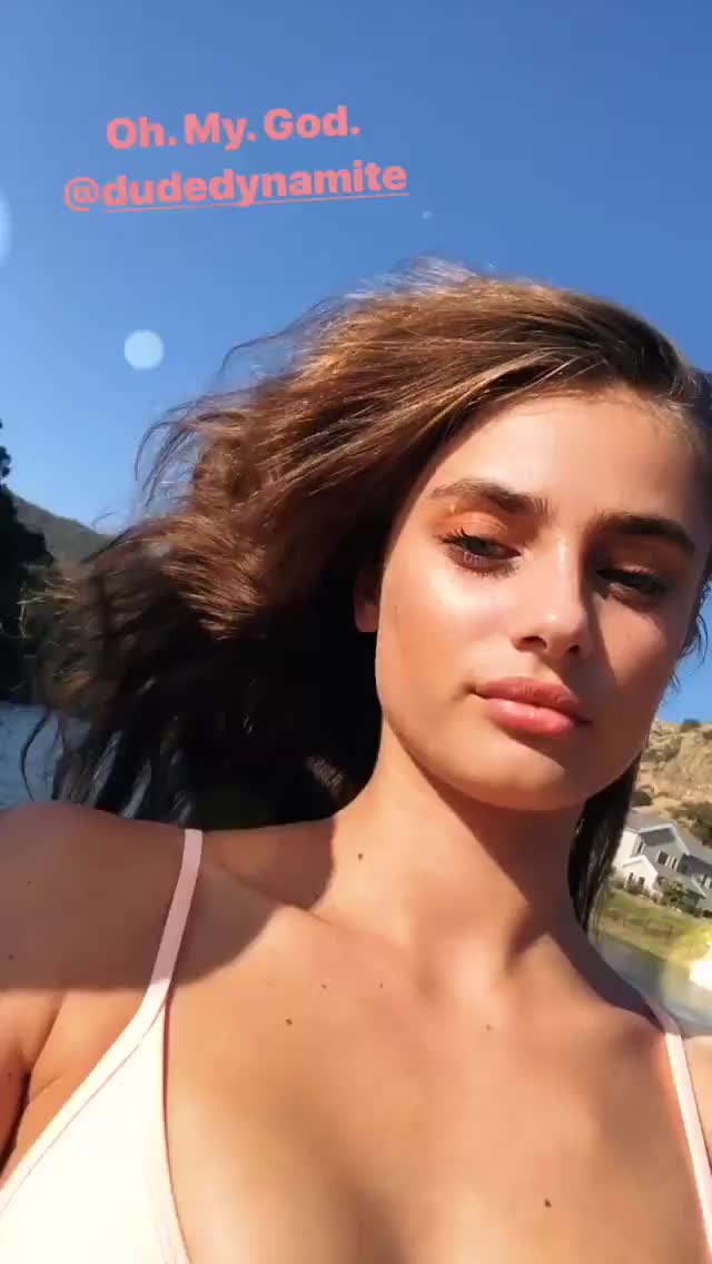 taylor hill