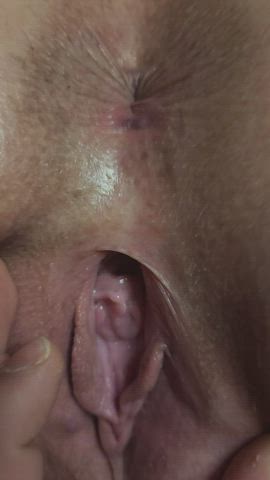 close up pussy shaved pussy gif