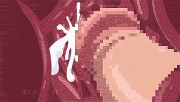 animation anime gif