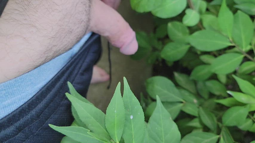 outdoor piss pissing gif