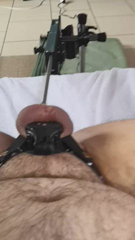 anal chastity fuck machine gif