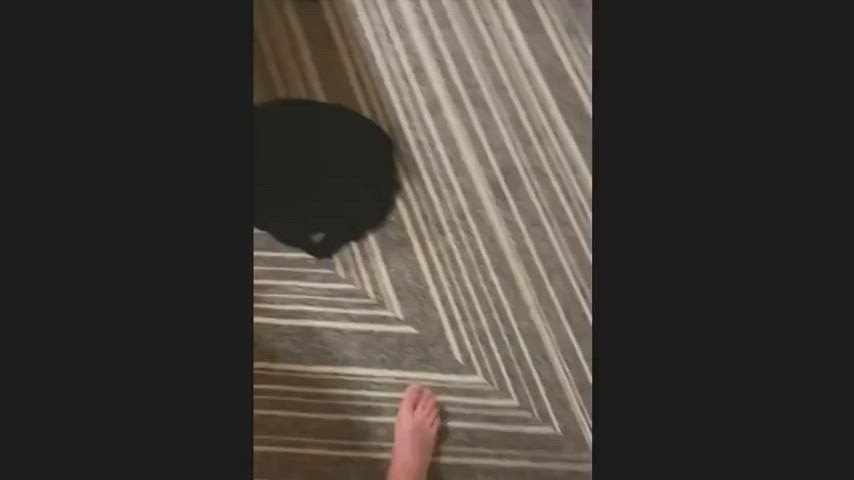 anal australian british canadian couple homemade milf spanking step-mom gif