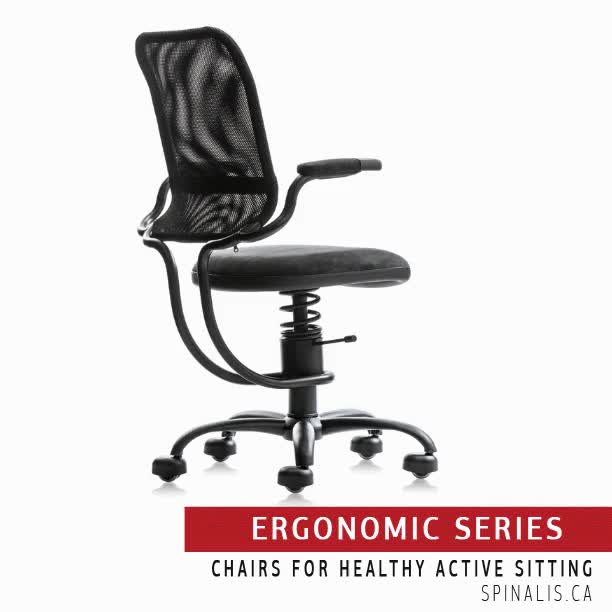 Ergonomic Workstation and SpinaliS Office Chairs