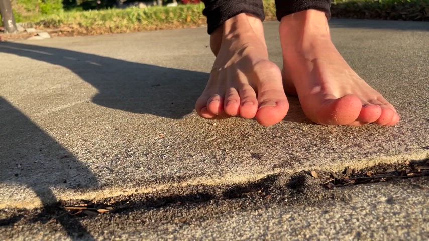 Helpless ants run from my dirty giant feet