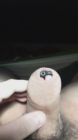 Cock Foreskin Toy Uncut gif