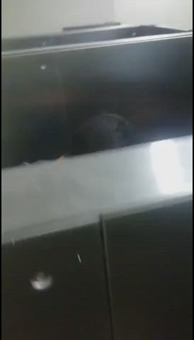 balls sucking blowjob clothed cum in mouth public quickie toilet gif