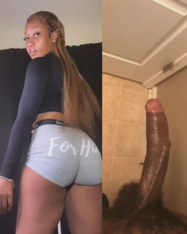 bbc babecock ebony gif