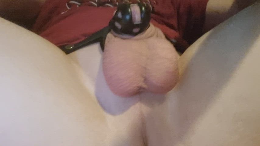 ballbusting chastity mistress gif