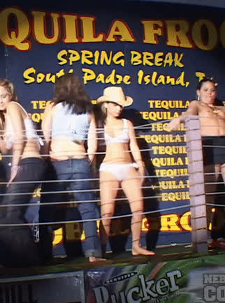 boobs bouncing tits contest natural tits spring break tits gif