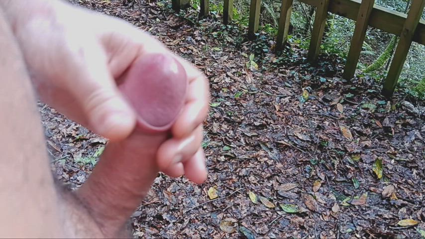 erection male masturbation masturbating nudist oiled outdoor rubbing gif