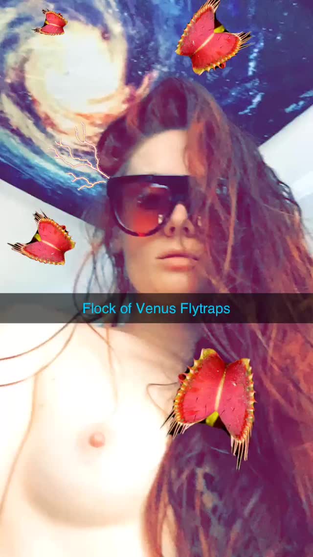 Venus_Flytrap