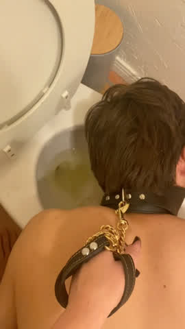 Femdom Humiliation Leash PetPlay Sissy Slave Toilet gif