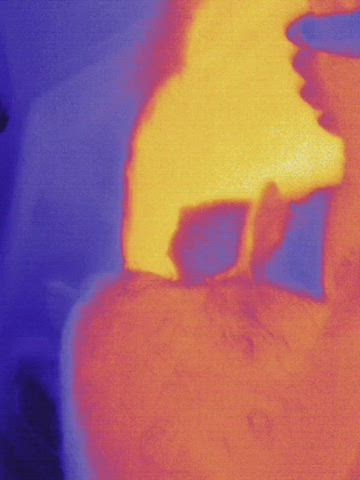 i got a thermographic cumera