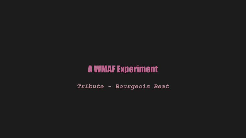 A wmaf experiment - Tribute - bourgeois beat (splitscreen PMV)