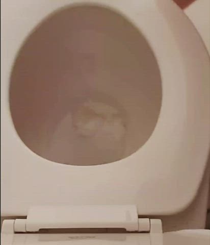 Anal Ass Messy Toilet gif