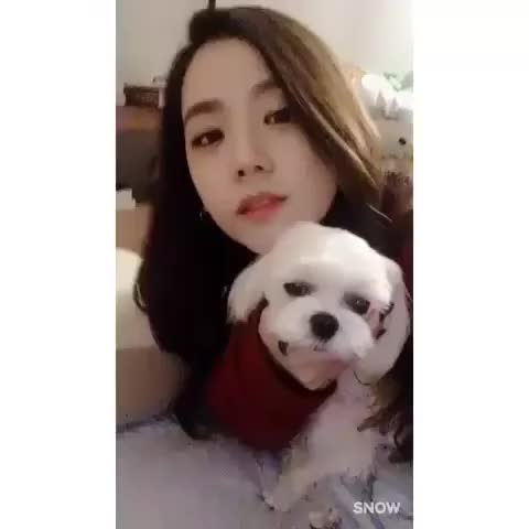 jisoo & doggo