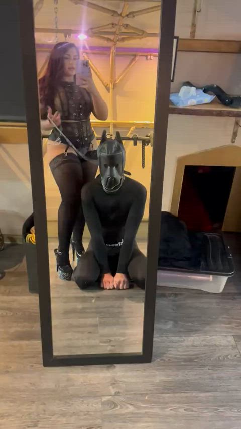 femdom master/slave slave gif