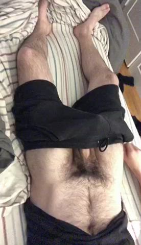 balls hairy hairy cock gif