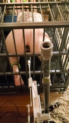 bdsm butt plug caged fucking machine gif