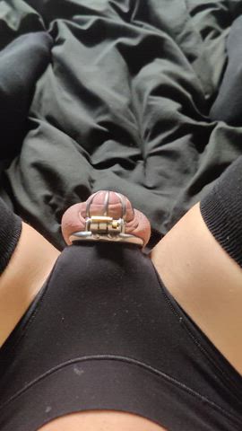 chastity cockslap humiliation panties sph sissy gif