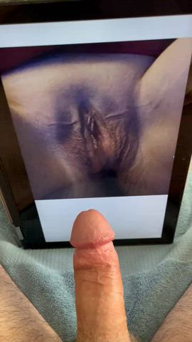 cock jerk off masturbating nsfw pussy gif