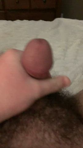 cumshot hairy cock jerk off orgasm gif