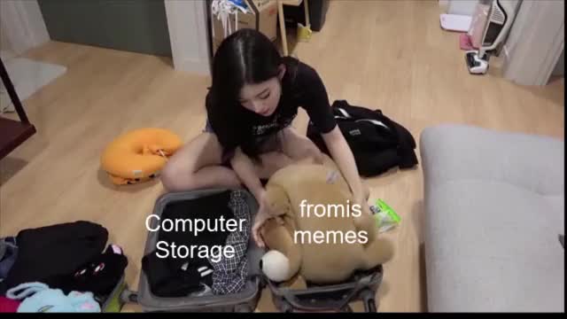 Chaeyoung suitcase meme storage